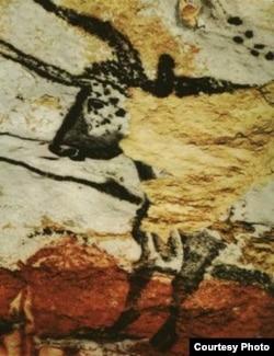 Ласкодогу үңкүр сүрөттөрү. Франция. 26.6.2006.