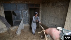 Суу ташкындын кесепетинен арылууну көздөп жаткан ооган жигит. 14-апрель, 2024-жыл. Кандагар провинциясы, Ооганстан. 


