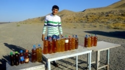 Lebapda soňky pagtanyň çigidi diňe “20% ýag berýär”