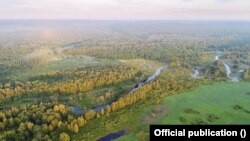 Бярэзінскі запаведнік. Архіўнае фота 