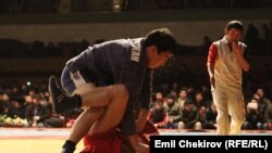 Иллюстрациялык сүрөт. 