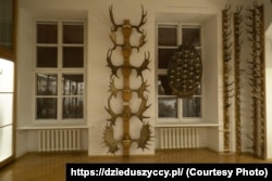 З експозиції Природознавчого музею, виставки, присвяченій 200-літтю Володимира Дідушицького