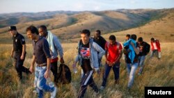 شماری از مهاجرین که بطور غیرقانونی وارد خاک صربیا شده اند