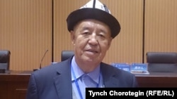 КЭРдин Хэйлуңжаң вилайетинин Фу-Йү үйөзүндөгү Хэйлуңжаң кыргыздарынын өкүлү Ву Жанжу. Үрүмчү. 24.10.2015.