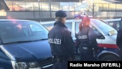 Венера полици. Архивера сурт. 