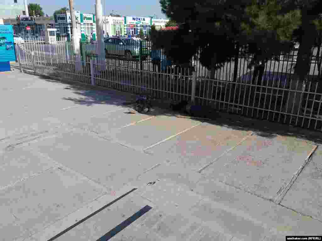 Lebap welaýatynyň merkezi Türkmenabat şäherindäki &quot;Daýhan bazarynyň&quot; golaýyndaky agajyň kölegesinde ýatan iki adam.