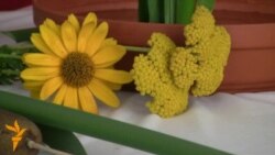 Бишкек: мастер-класс по икебане