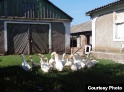 Фото автора