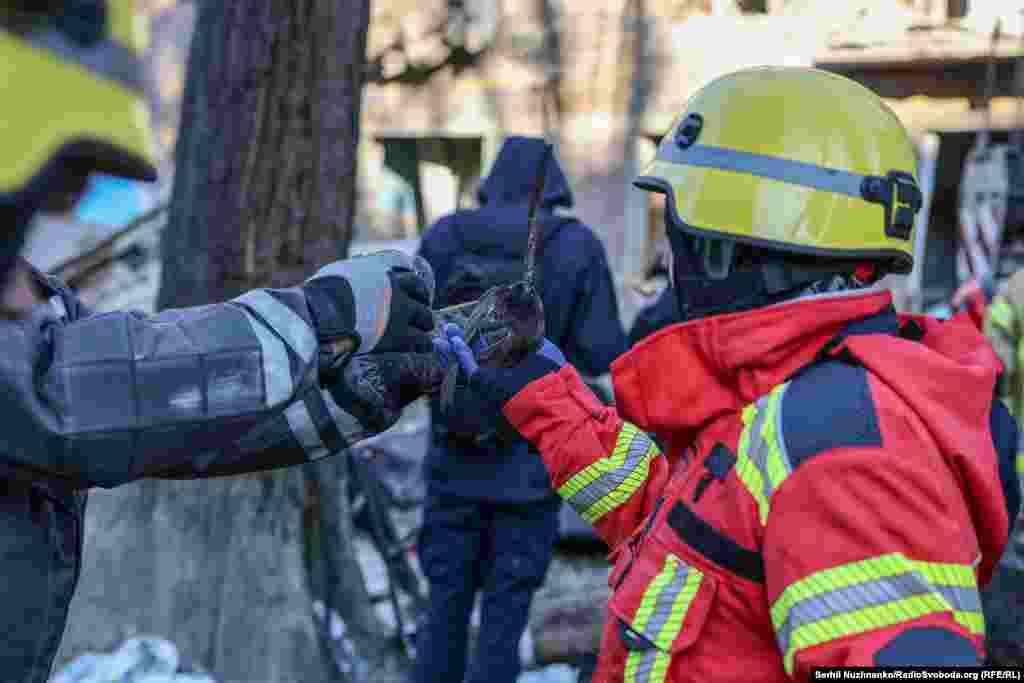 Врятована працівниками ДСНС ластівка на місці зруйнованого внаслідок російської атаки житлового будинку. Київ, 23 червня 2025 року