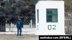 Түркмөнстандагы полиция күркөсү. Иллюстрациялык сүрөт.