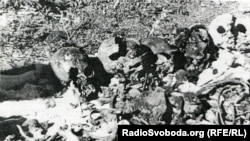 Місце першого розкопу у Сандармосі. Ось що побачили представники Санкт-петербурзького «Меморіалу» і Юрій Дмитрієв 1 липня 1997 року.