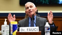 Anthony Fauci  