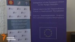 ЕБ жеңилдиктин эрежесин үйрөтөт