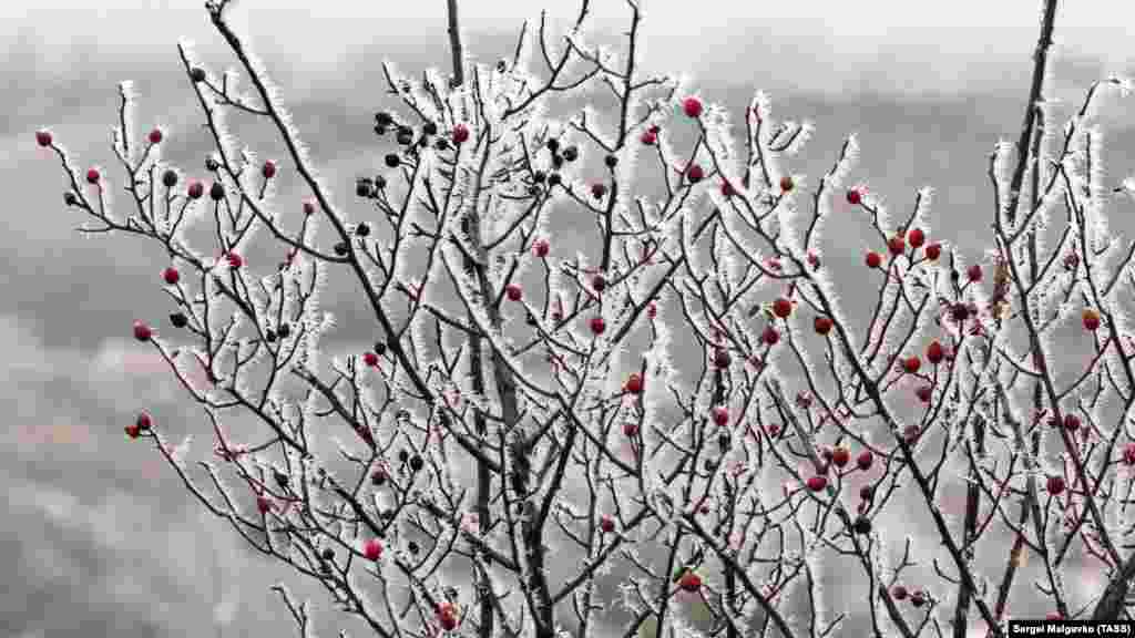 У січні нічна температура в Клинівці практично завжди нижче нуля, тому зранку сільські поля огортає іній і морозний туман