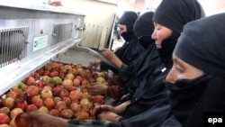 زنان کارگر در یکی از فابریکه های تولید نوشابه در کابل