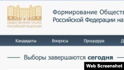 Выборы в Общественную палату - теперь и в интернете