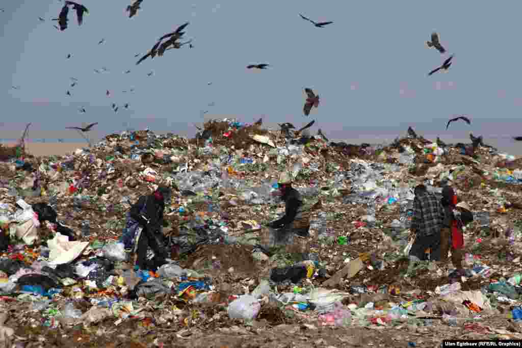 Бул жерден кузгундардан кошо талашкан жүзгө жакын адамды көрүүгө болот.