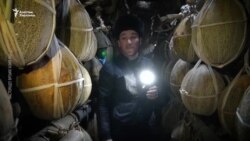 Кышында коон жыттанган көчө