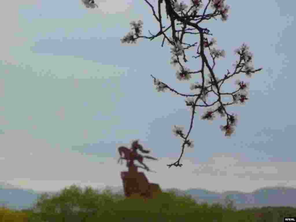 Абрикосовый Баткен #18