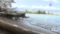 Последние минуты: свидетельства очевидцев