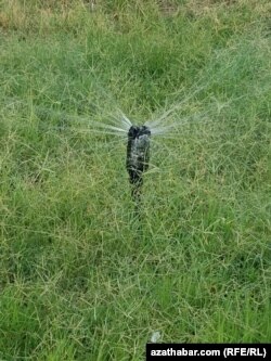 Работники парка мастерят брызгалки из подручных средств