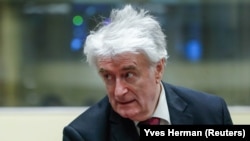 Former Bosnian Serb leader Radovan Karadzic appears in a courtroom before the International Residual Mechanism for Criminal Tribunals in The Hague on April 23.