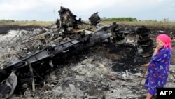 Маҳаллий турғун MH17 учоғи қулаб тушган жойда унинг синиқ парчалари олдида, 2014 йил 19 июль 