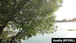 Болда ерыгы (елгасы)