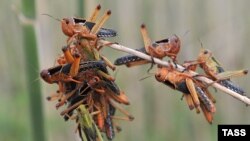 Иллюстративное фото.