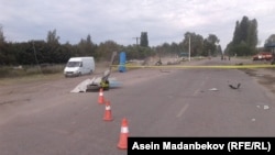 Иллюстрациялык сүрөт. 