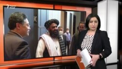 Ахбори Озодӣ аз 14-уми апрели соли 2023