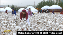 Döwlet telewideniýesinde pagta ýygýan görnüşde görkezilen aýal-gyzlar. 2020-njy ýylyň noýabr aýy.
