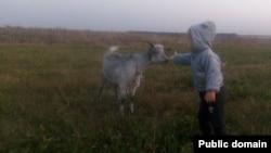 Дочь Олеси Лариной