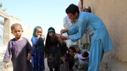 جریان واکسین پولیو در ولایت کندهار