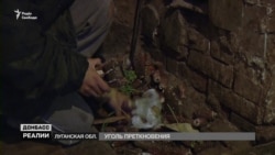 Вугілля спотикання: із шахтарів у лісоруби (відео)