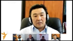 Кош жарандык: мыйзамдуу жана мыйзамсыз жактары