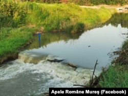 În imagine, unul din pragurile de liniștire amenajate în 8-9 iunie, pe pârâul Corund, la recomandarea experților. Trebuiau să acționeze ca un soi de baraj în fața saramurii deversate din salină, în pârâu și de aici în Târnava Mică.