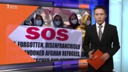 Оогандыктар Бишкекте кайрадан пикетке чыкты