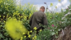 Ситуація поблизу Кримського: тиша тільки вдень (відео)