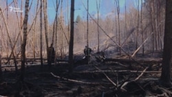 «Втекли у глуш, а там пожежа» – який вигляд мають погорілі села після пожежі (відео)