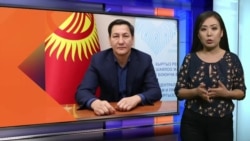 Абдил Сегизбаев жер басып алганбы?