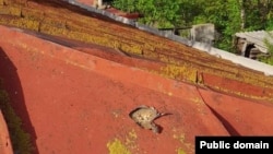 Ադրբեջանական կրակոցից վնասված տան տանիք Սյունիքի Խնածախ գյուղում, 10-ը մայիսի, 2025