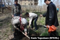 Манат Утеулиева и гражданские активисты сажают дерево в память об убитом экологе Нурлане Утеулиеве. Поселок Тастыбулак Алматинской области, 5 апреля 2013 года.