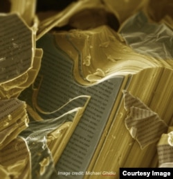 Гогоці переконаний, що надважливим завданням сьогодні є популяризація науки, тож він та його команда намагаються схрестити її з мистецтвом, демонструючи широкому загалу оброблені знімки наноструктур, які часто набувають дражливої для уяви форми (оригінали зображень, отримані за допомогою електронних мікроскопів, чорно-білі)