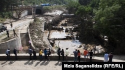 Защитники прав животных распространили в интернете электронную петицию с требованием отменить строительство зоопарка на территории Грузии, и ее уже подписали несколько тысяч человек