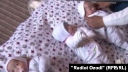 Ин сегоник ду сол пеш дар ноҳияи Мӯъминобод ба дунё омадаанд.