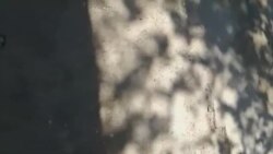 Глава района в Сырдарье уговаривает людей переселиться в степную местность, выделенную под строительство новых домов