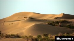 Türkmenistan. Garagum çöli. Illýustrasiýa suraty.