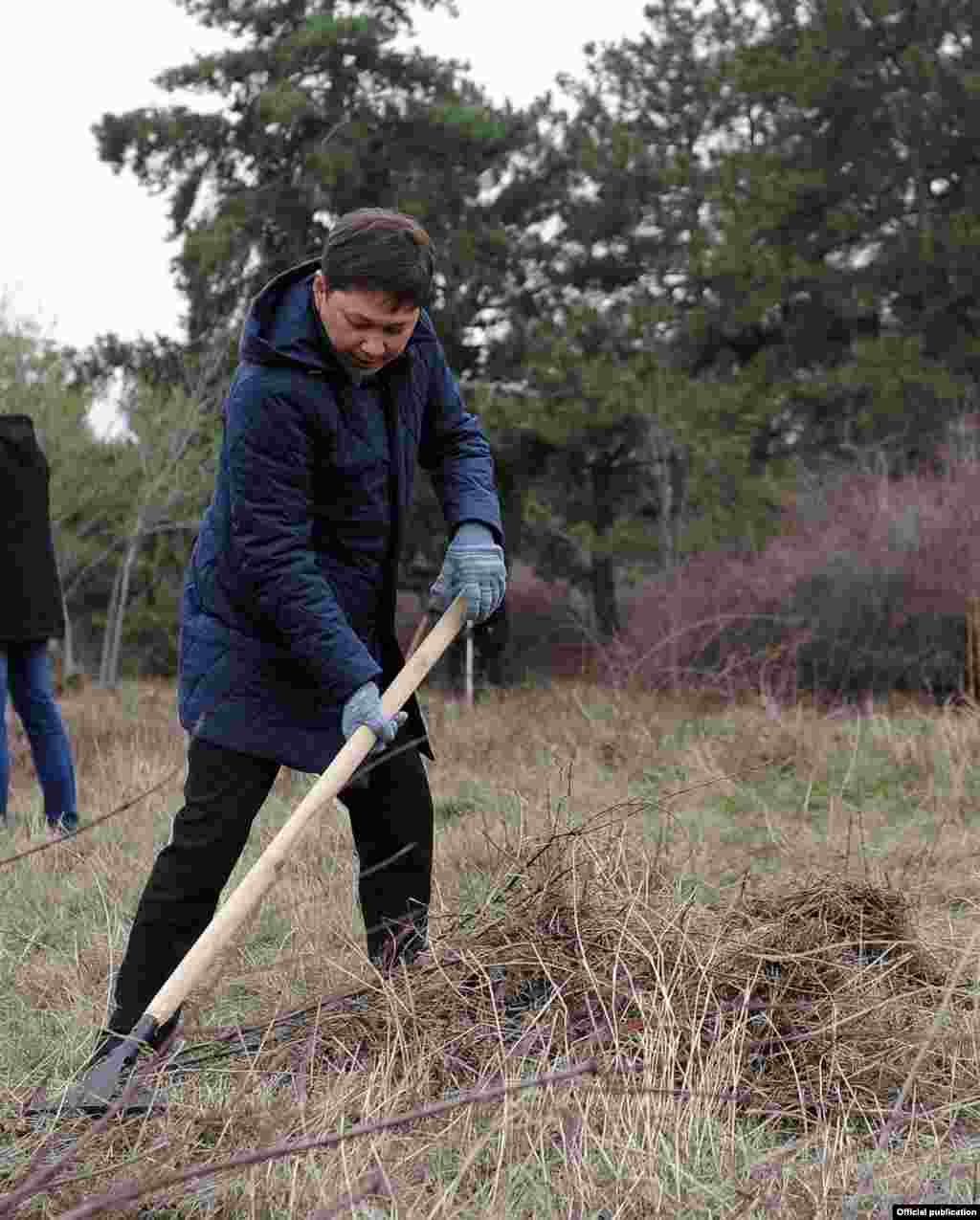Өкмөт башчы Сапар Исаков Ботаникалык бакты тазалоого барды.&nbsp;