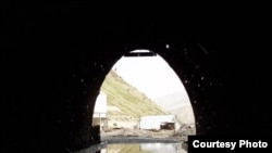 Акс аз бойгонист.